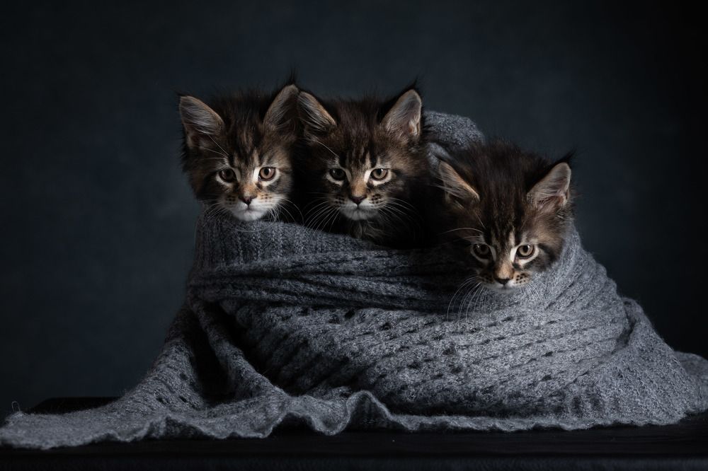 Photograph by Marina Barulina