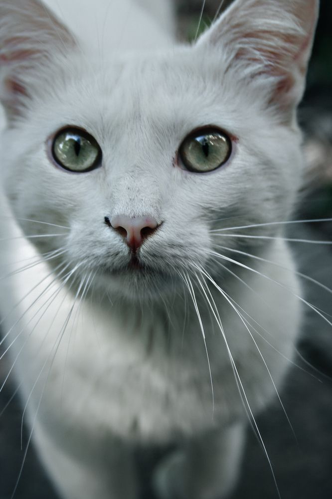 Photograph by Нелли