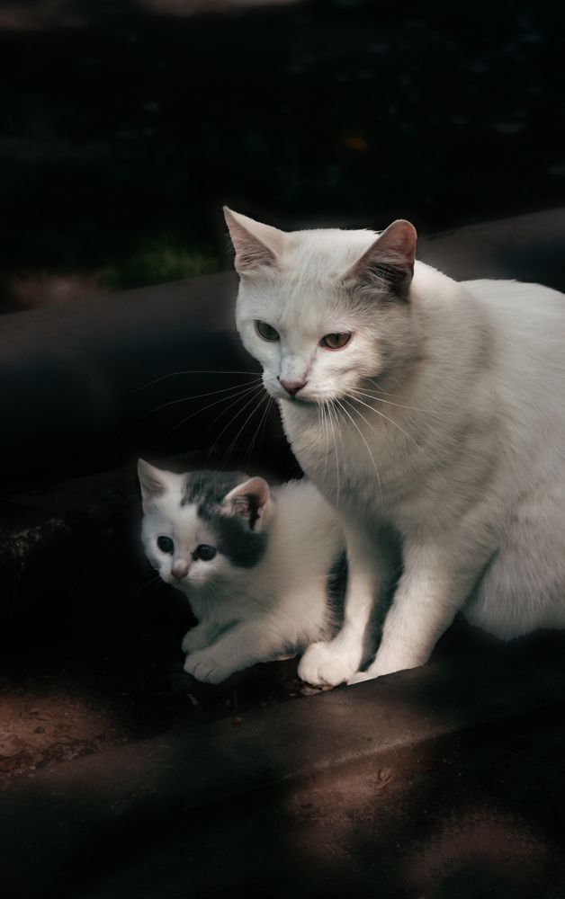 Photograph by Нелли