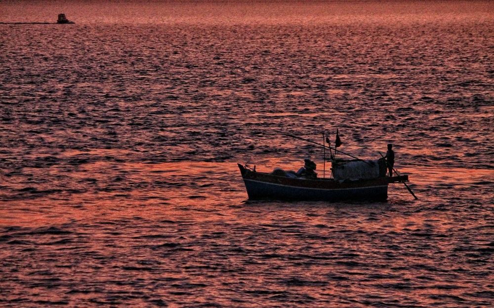 Photograph by Aratrika Mukherjee