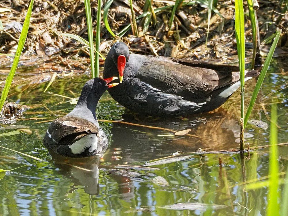 Photograph by Сергей Духанин