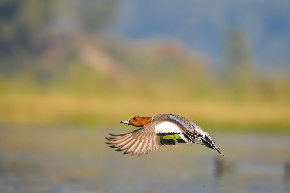 Photograph by Somenath Nandy
