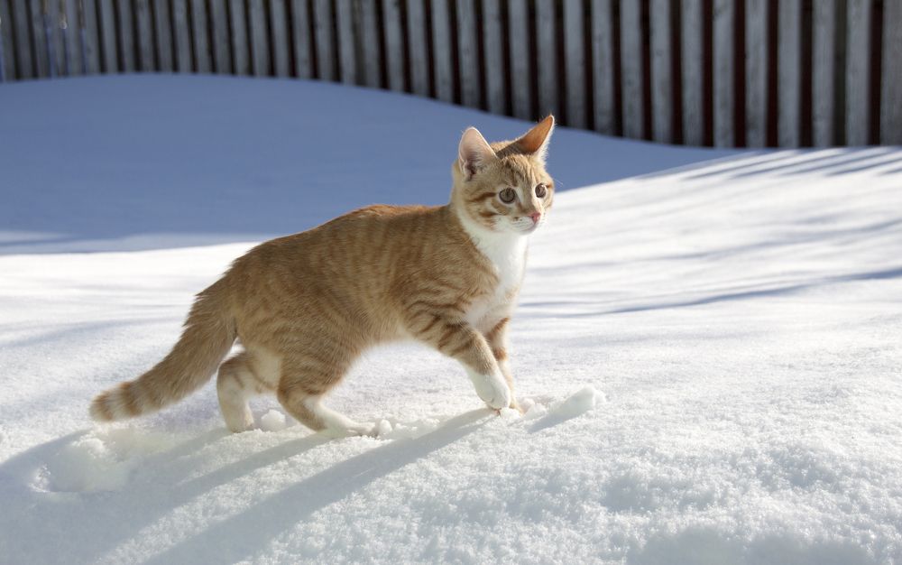 Photograph by Галина Щипакина