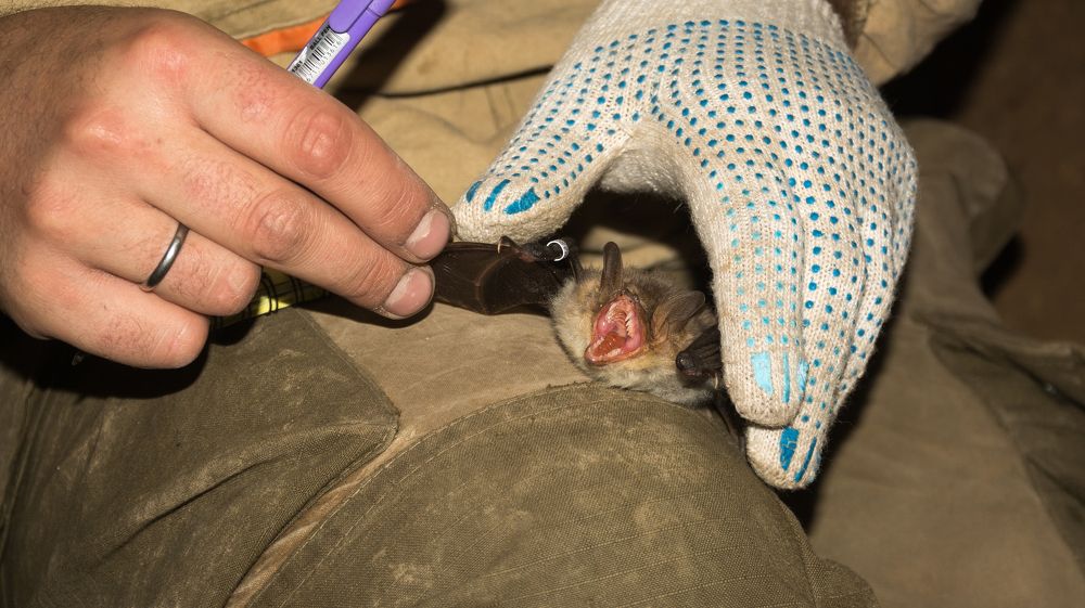 Photograph by Владимир Козьяков