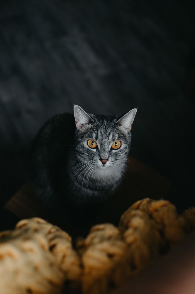 Photograph by Дмитрий Чирков