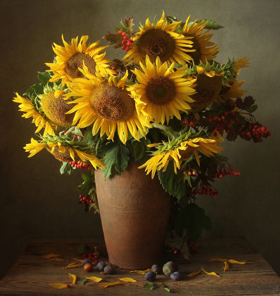 Вот и август на исходе