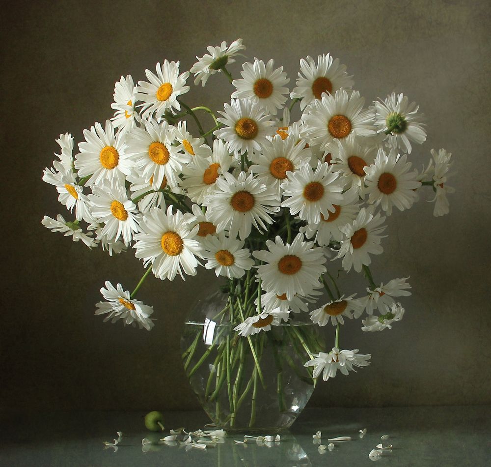 Воспоминания о лете