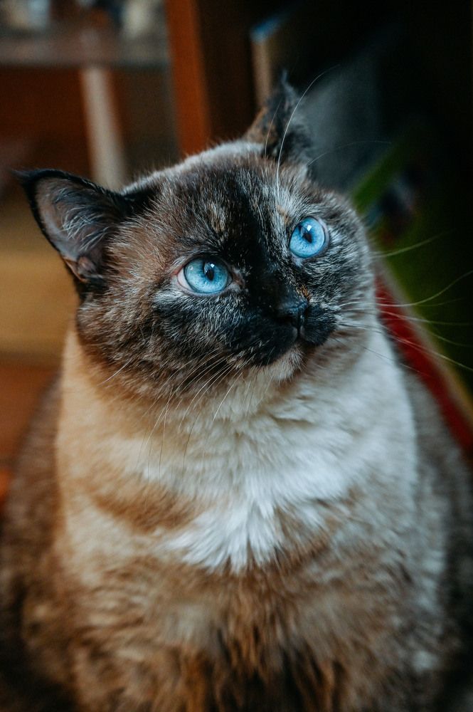 Photograph by Дмитрий Чирков