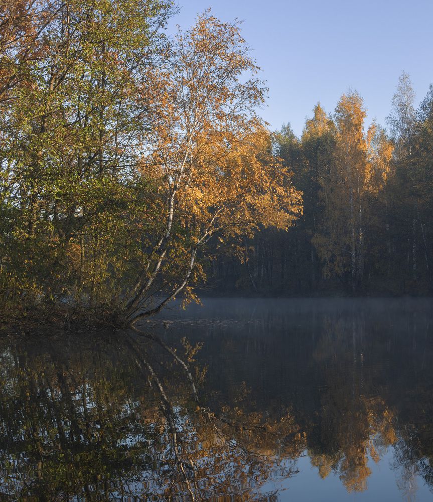 Фотография автора Ольга Бонина