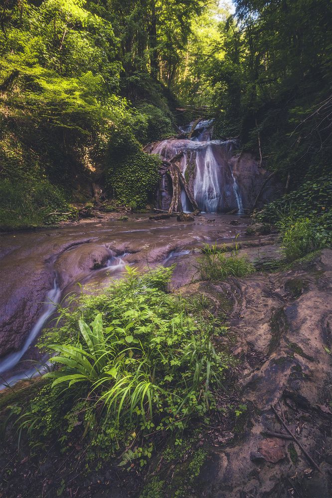 Photograph by Аседач Александр