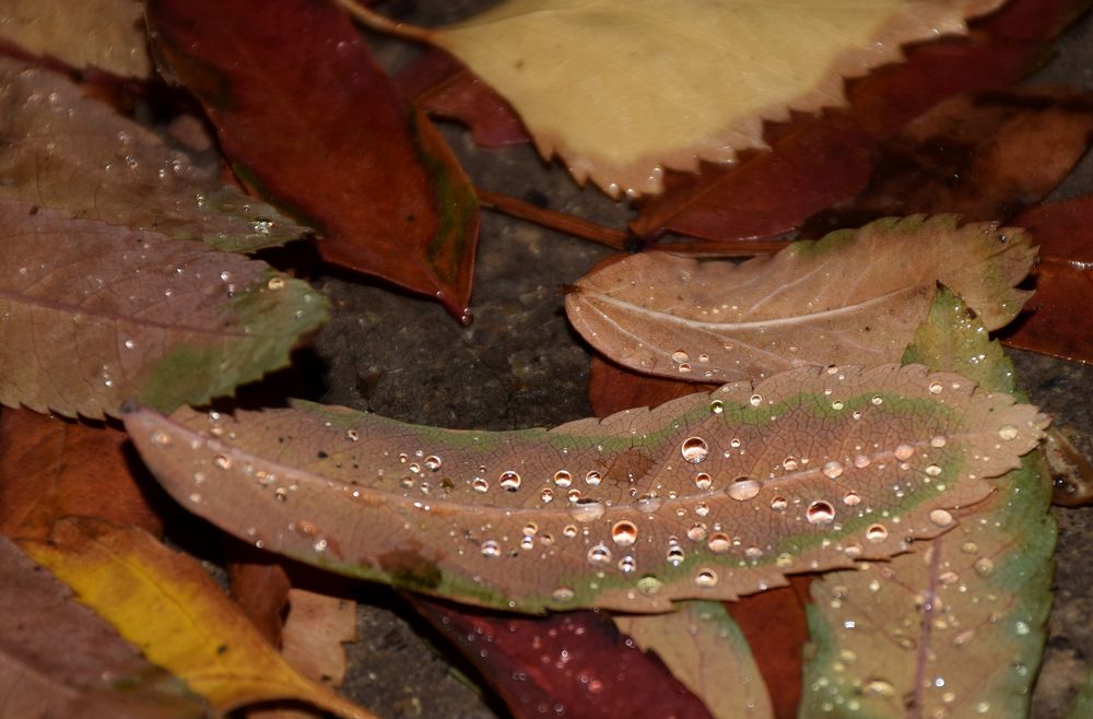 Photograph by  Татьяна Дорожко