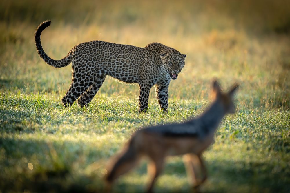 Photograph by Hari Kumar