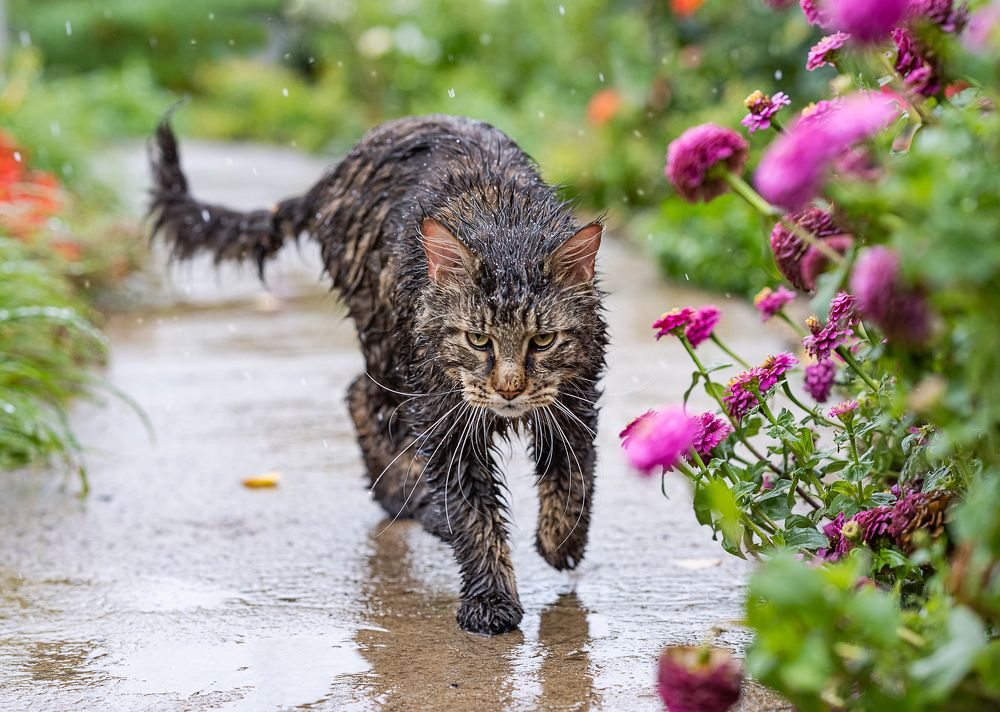 Photograph by NADEZHDA PELYMSKAIA