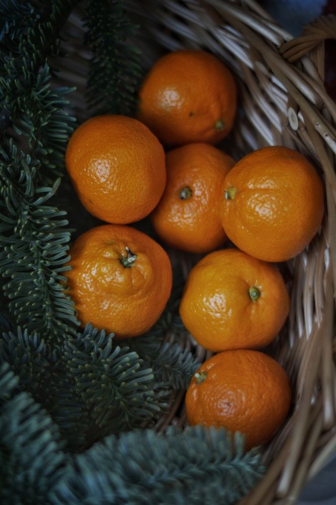 Photograph by Анастасия Позинич