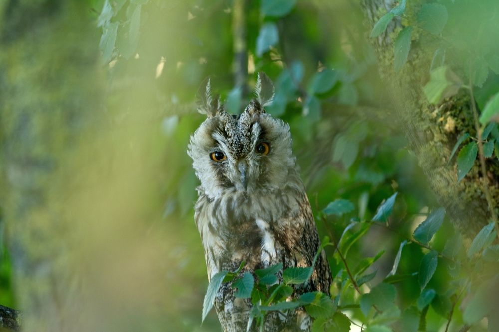 Photograph by Dyakon Zhora