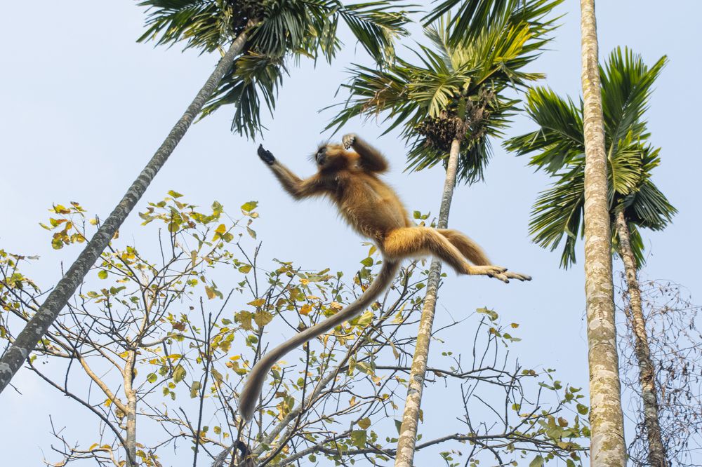 Photograph by Suman Paul