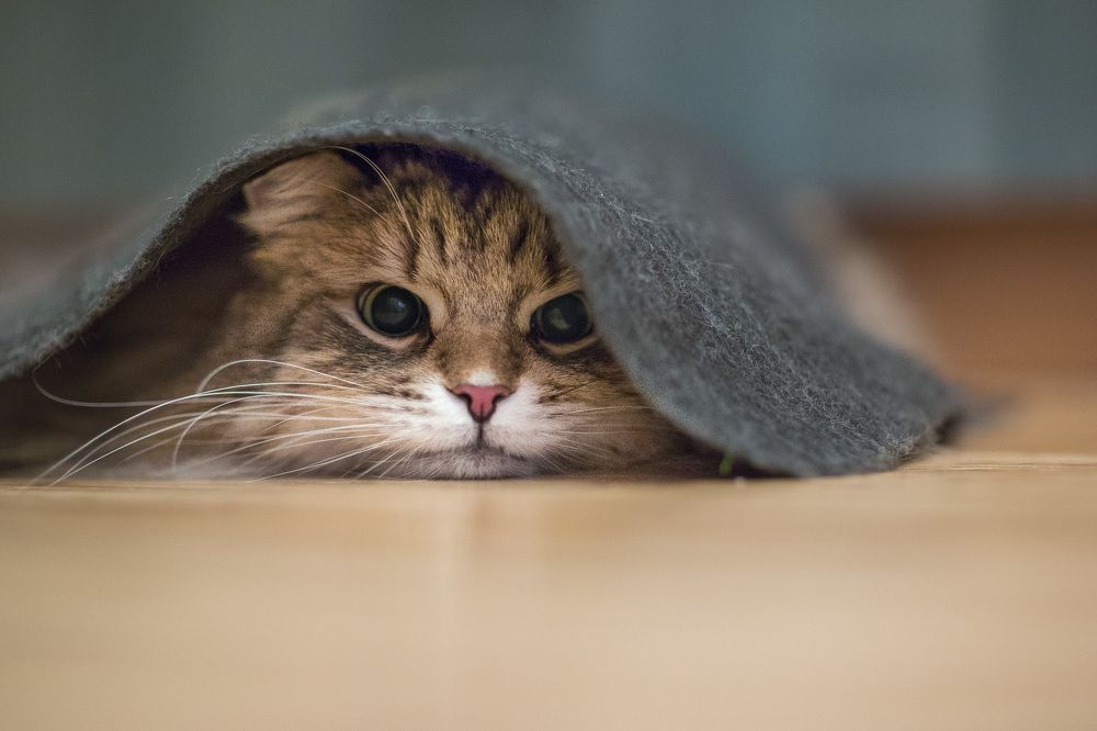 Photograph by Геннадий