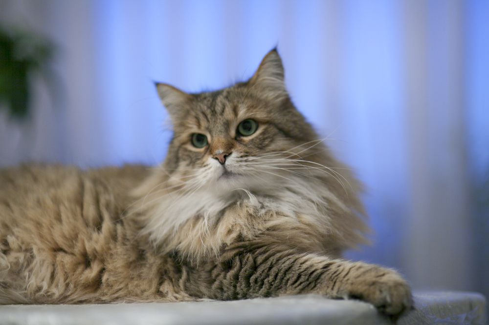 Photograph by Геннадий