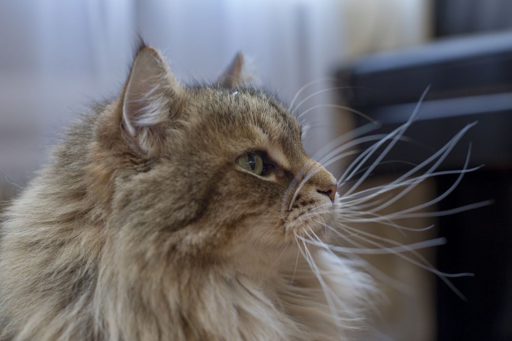 Photograph by Геннадий