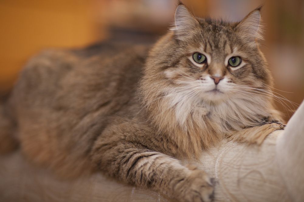 Photograph by Геннадий