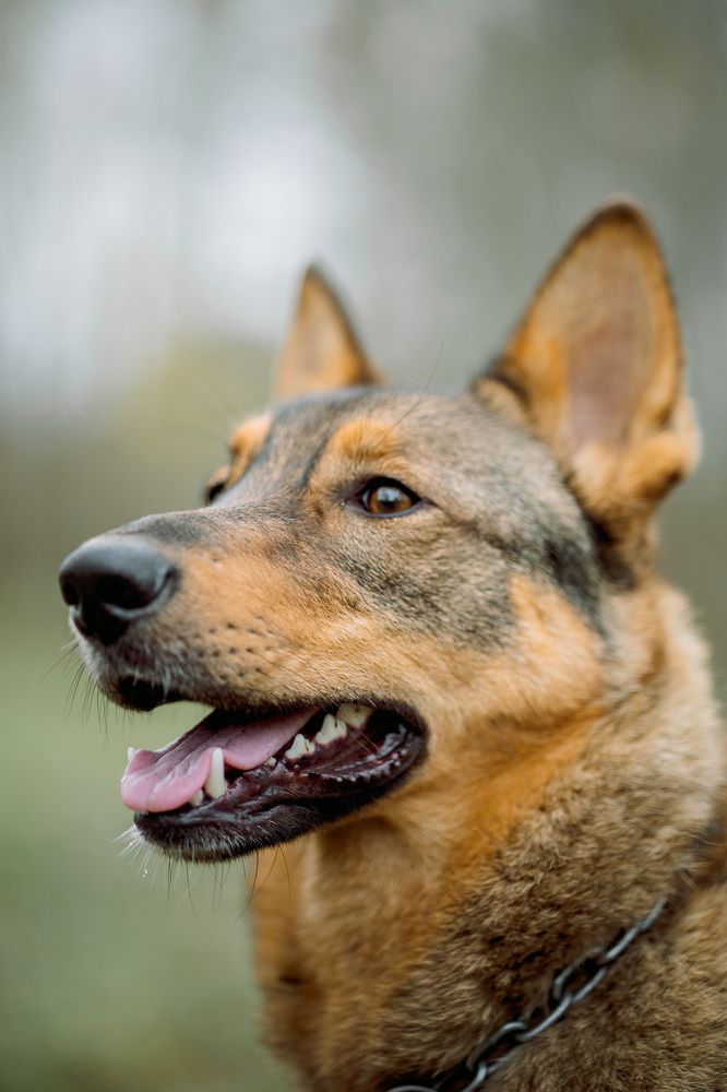 Photograph by Зульхиза Миндиахметова