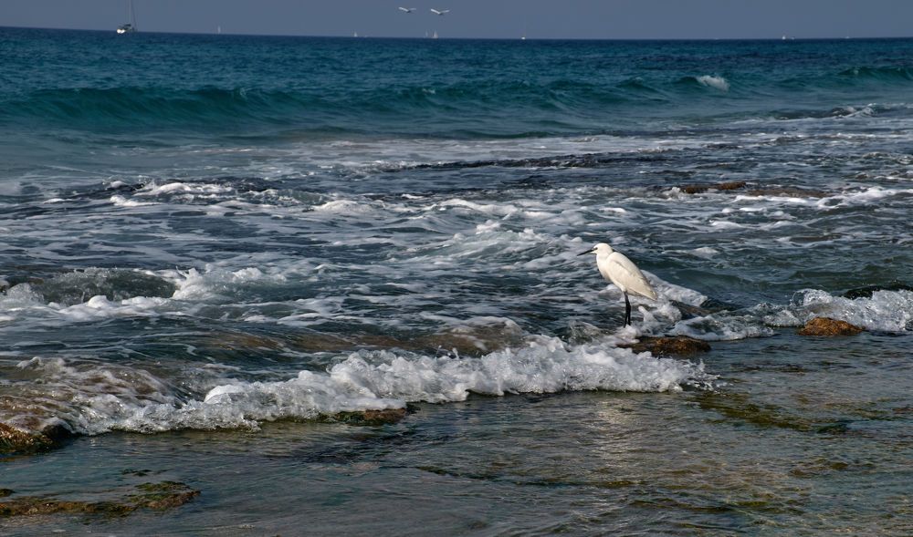 Photograph by Alexey Olkhovenko