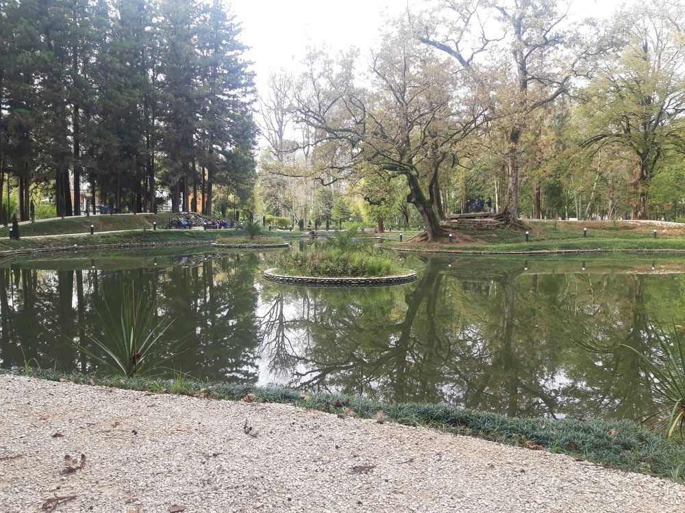 Photo #8847265