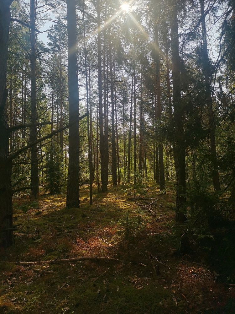 Photograph by Екатерина Борисовна Кузьмина