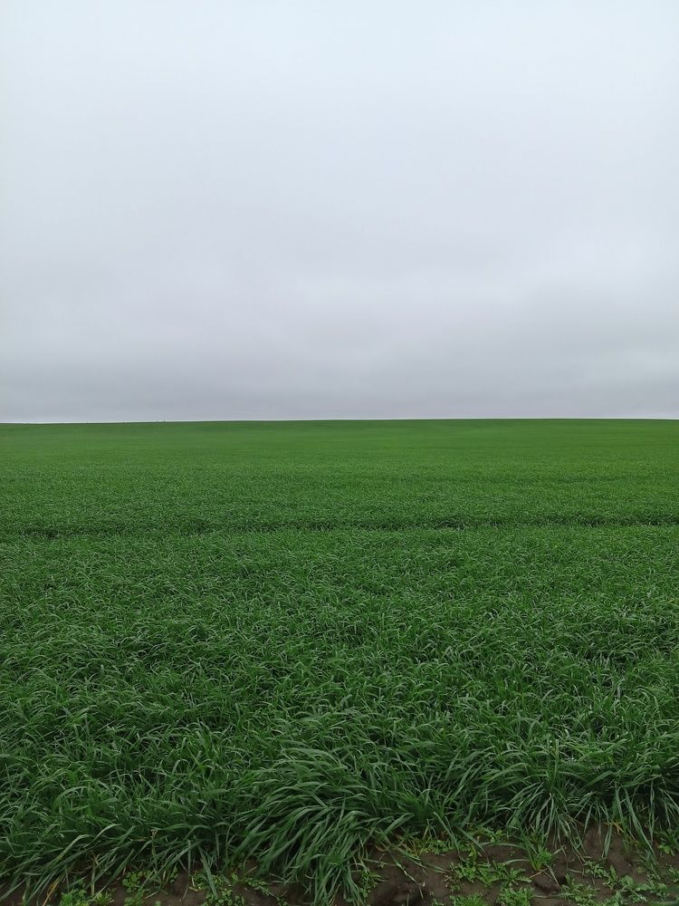 Photo #8847279