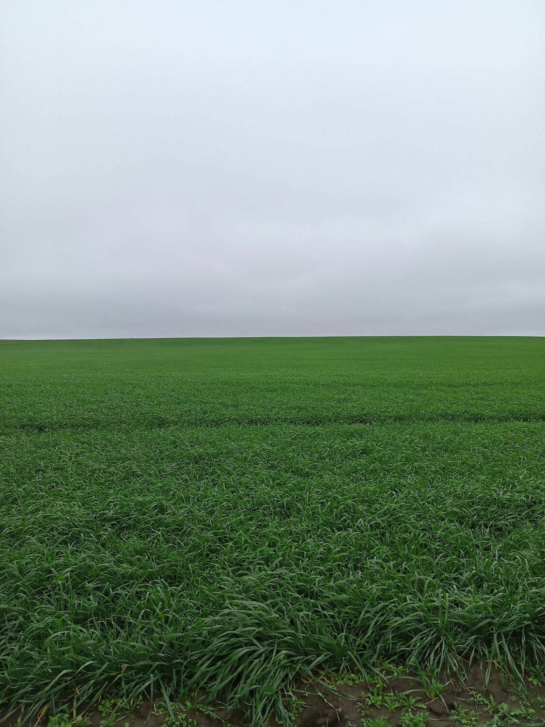 Photo #8847279