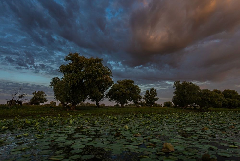 Photograph by Дмитрий Власов