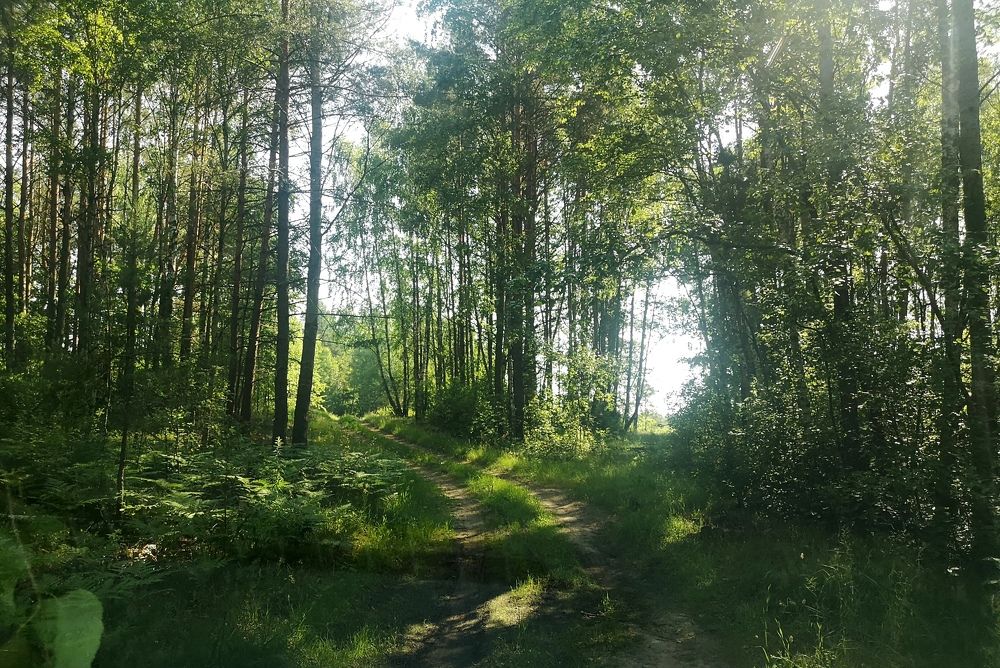 Photograph by Екатерина Борисовна Кузьмина