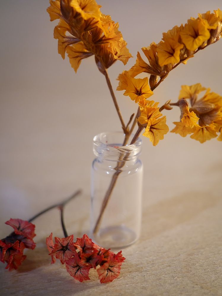 Photograph by Татьяна Пименкова