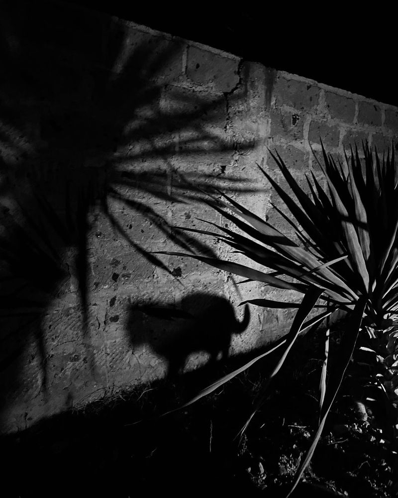 Photograph by Лисовой Максим