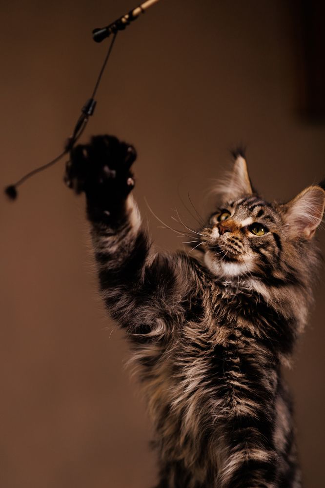 Photograph by Просолович Наталия Евгеньевна