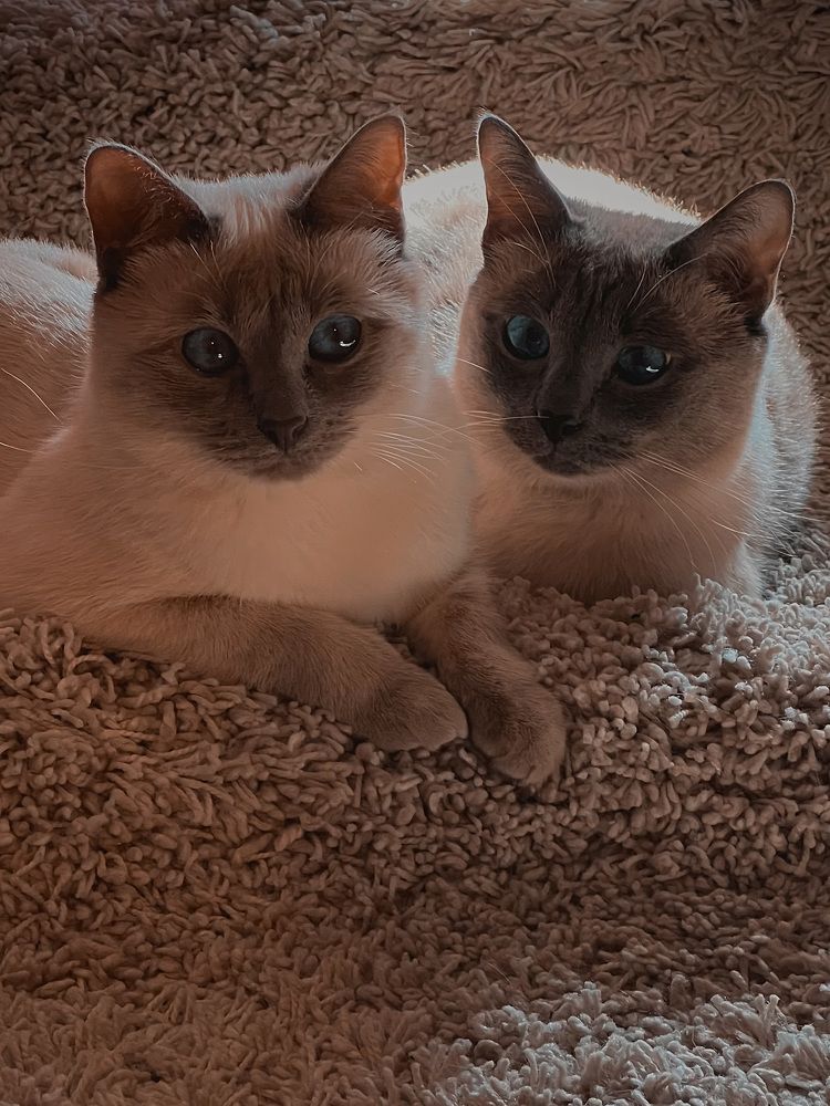 Photograph by Елена Башмакова