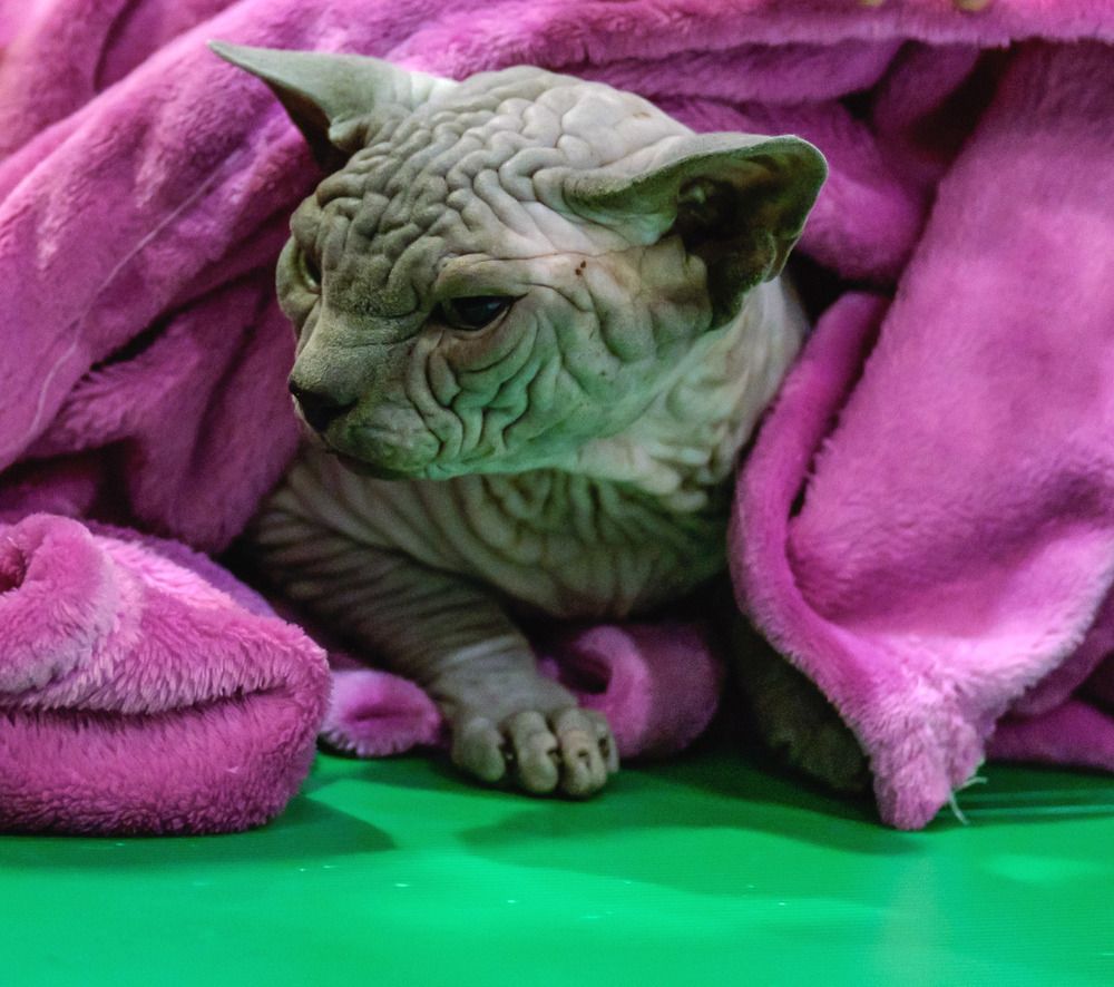 Photograph by Alexey Olkhovenko