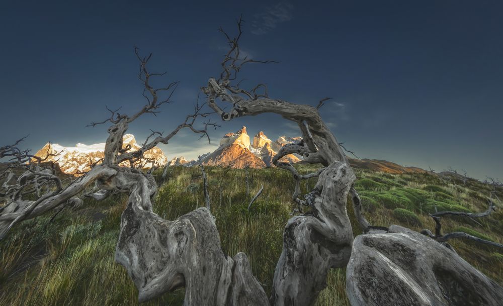 Photograph by Андрей Чабров