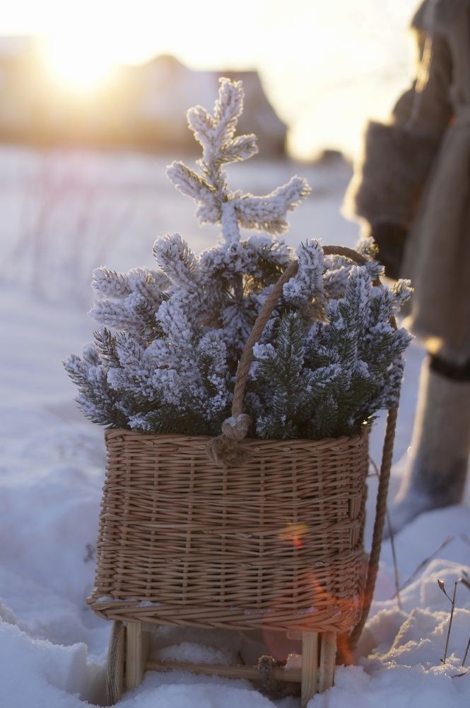 Photograph by Анастасия Позинич