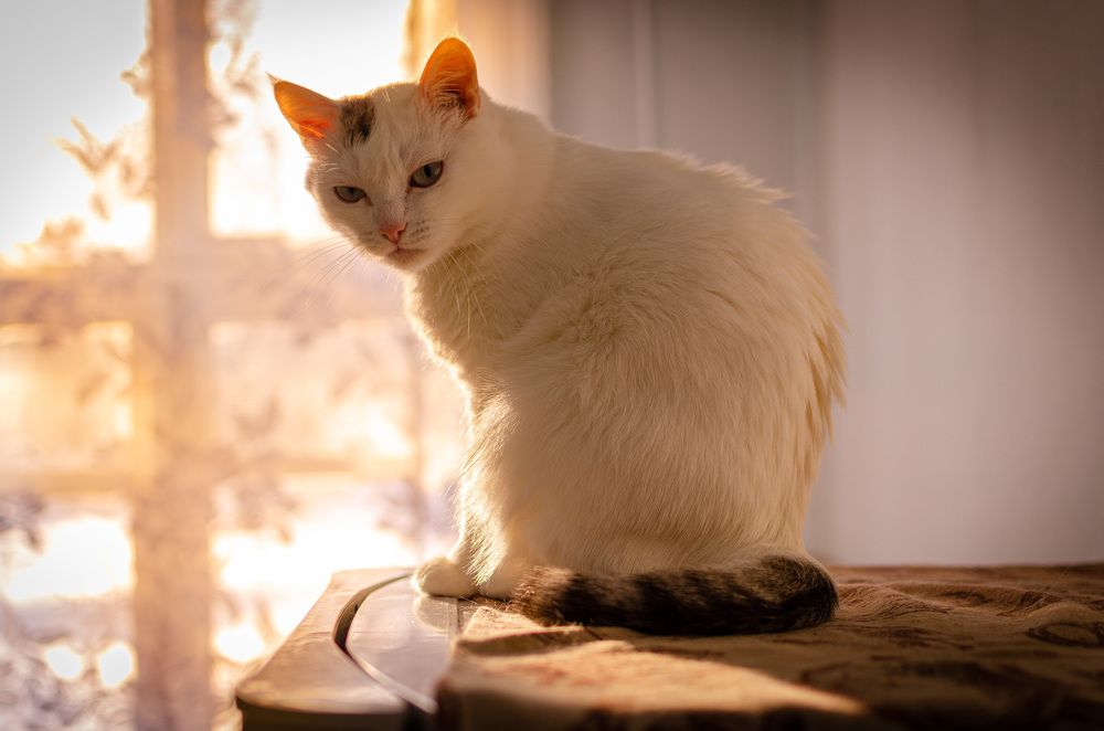 Photograph by Артём Шестаков