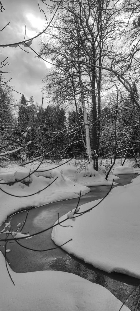 Photograph by vladimir