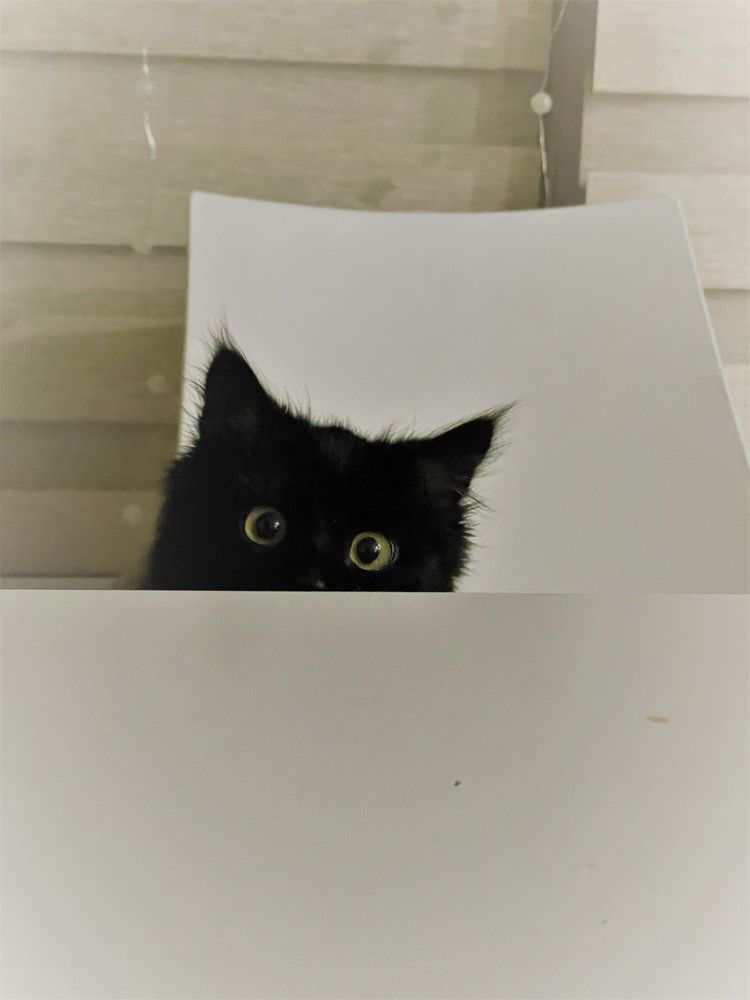 Photograph by Лисовой Максим