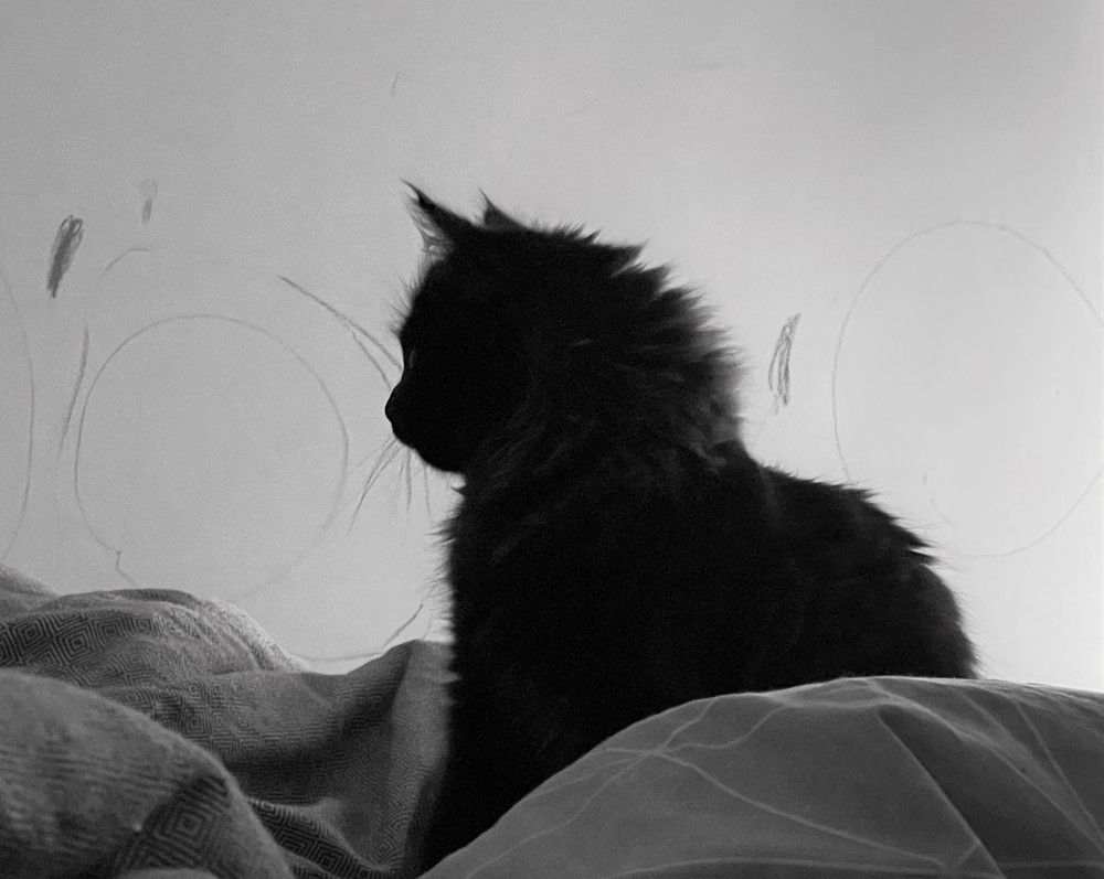 Photograph by Лисовой Максим