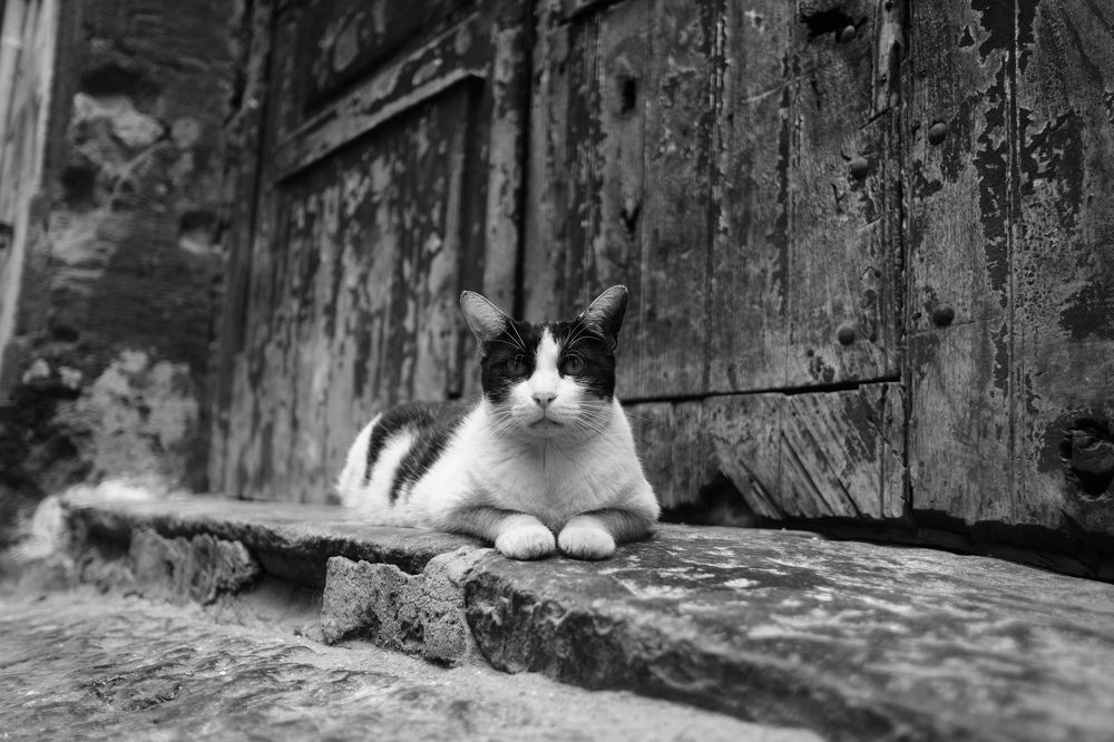 Photograph by Арина Бедрик