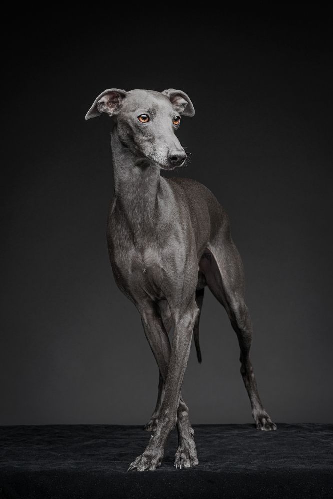 Photograph by Nadya Kulagina