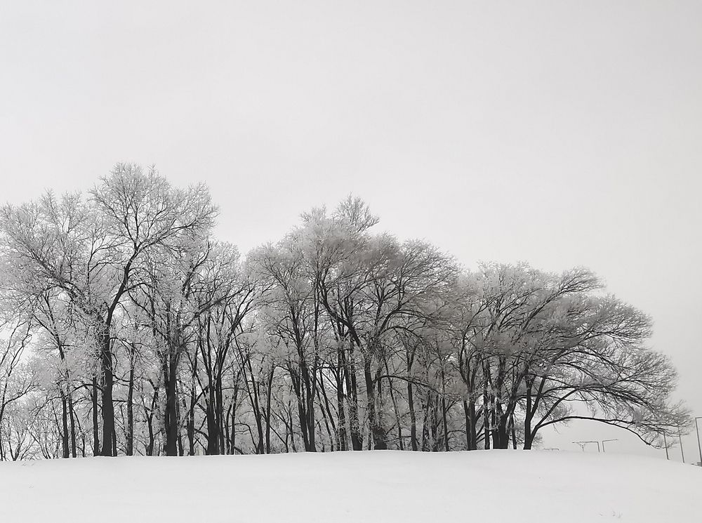Photograph by Sofiane Draa