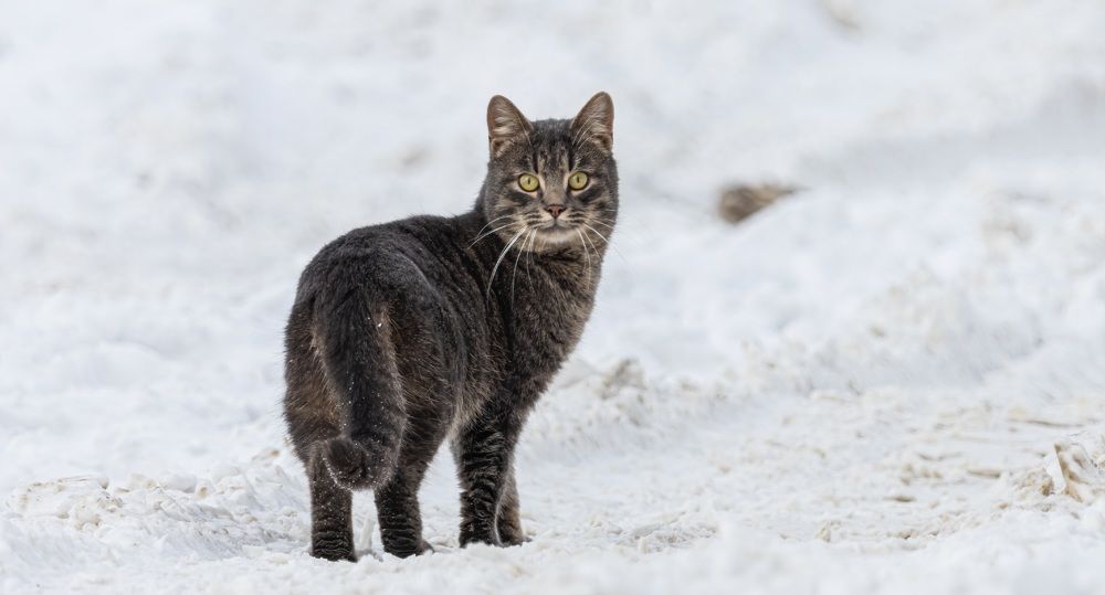 Photograph by Сергей