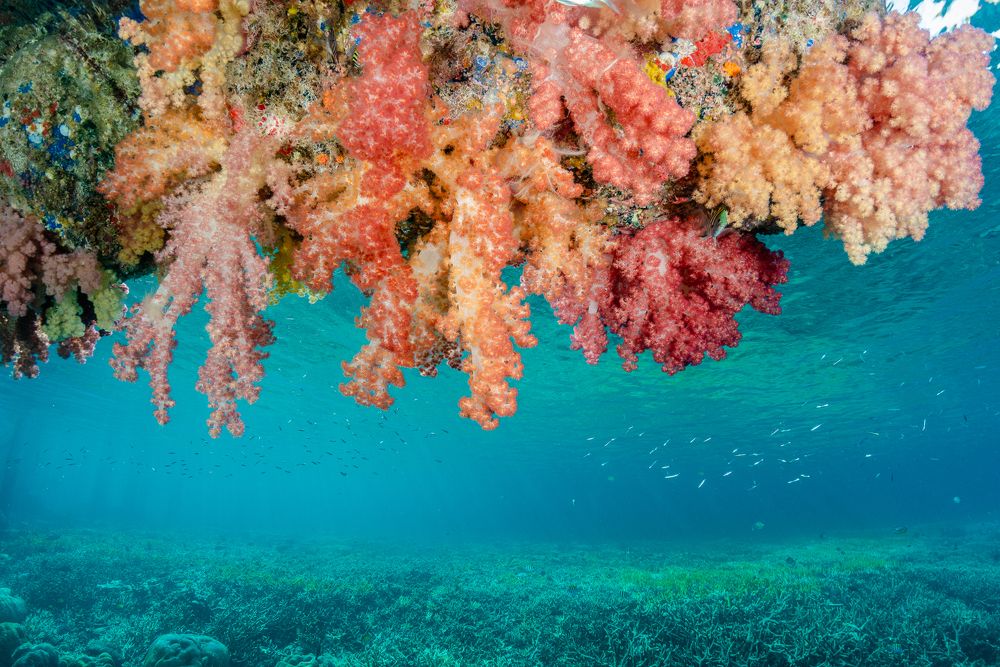 Photograph by Nadya Kulagina