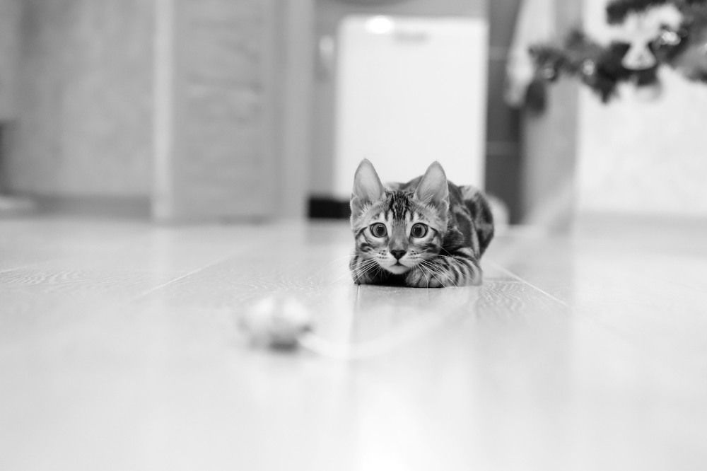 Photograph by Оксана Соколова