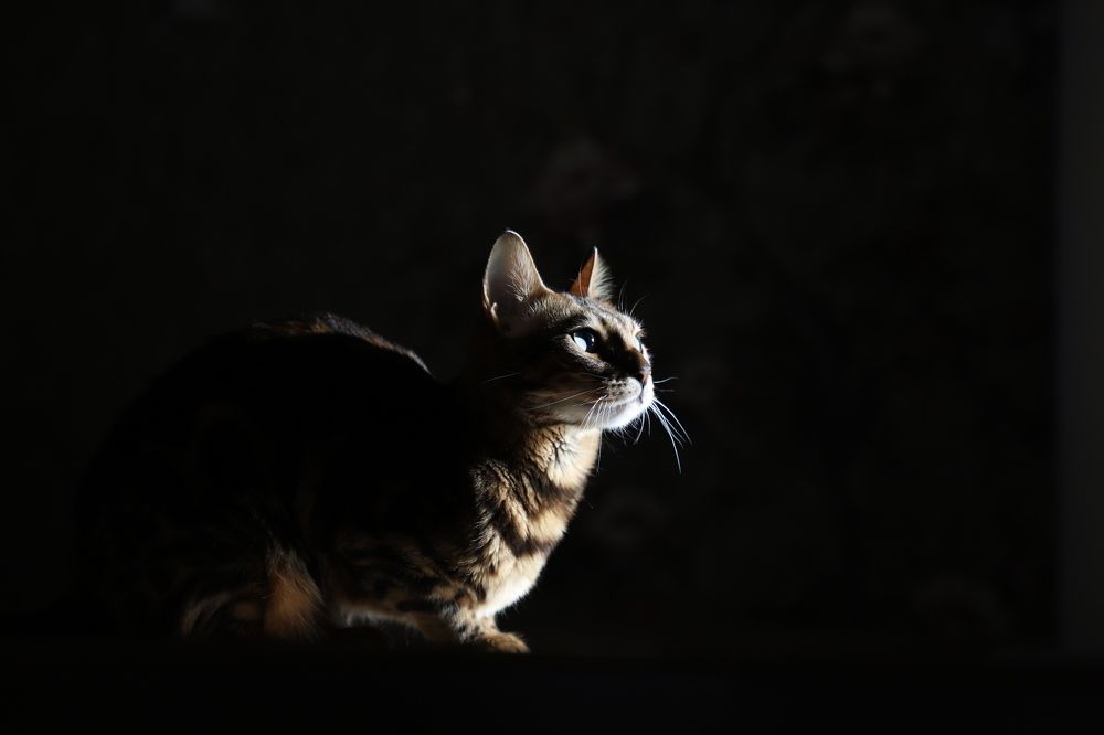 Photograph by Оксана Соколова